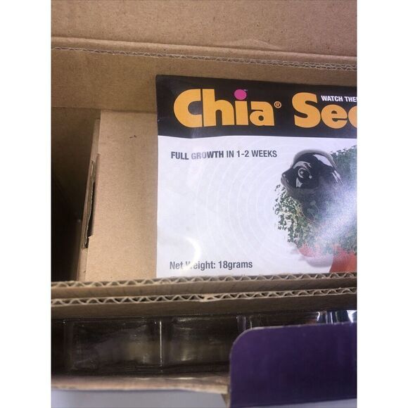 Wednesday Addams Chia Pet Handmade Decorative Planter  Addams Family, Open Box - Picture 5 of 7